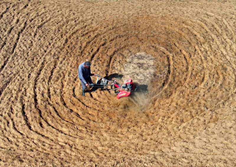 江西泰和：翻耕备冬种